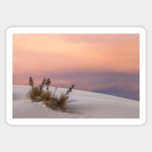 White Sand Sunset Sticker